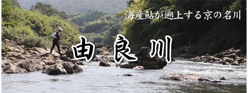 由良川